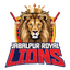 Jabalpur Lions Flag