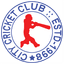 City Cricket Club Flag