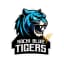 Kochi Blue Tigers Flag