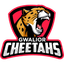 Gwalior Cheetahs Flag