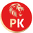 Punjab Kings Flag
