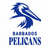 Barbados Pelicans-logo