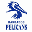 Barbados Pelicans Flag